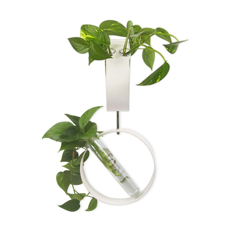 iCraft Wall Mounted Two Metal Ring and Four Test Tube Planters Connected with Metal Studd | Durable Wall Hanging Plant for Home, Office, Room, Outdoors, Indoors (White), Small - Image 5