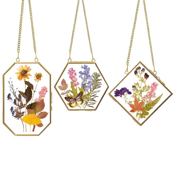 FUN TO MAKE PRESSED FLOWERS FRAME 3 PCS STURDY HANGING GOLDEN GLASS FRAMES FOR PHOTO PICTURE PLANT SPECIMEN DISPLAY PRETTY GIFTS FOR MOM FRIENDS HANDY CRAFT WALL DECOR 3 SHAPES