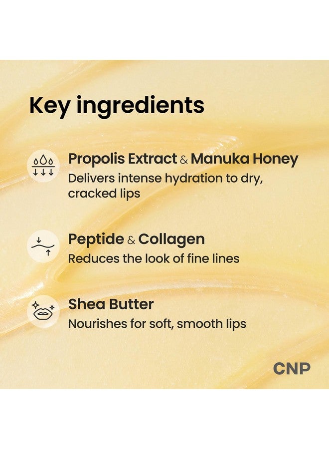 سي إن بي هدية تخزين زبدة الشفاه بالعسل من سي إن بي - بروبوليس ليبسيرين™ الأصلي، مرطب شفاه مانوكا الليلي والقناع، ترطيب يدوم 12 ساعة، هدايا للنساء، العناية بالبشرة الكورية، 0.5 أونصة سائلة. - Image 5
