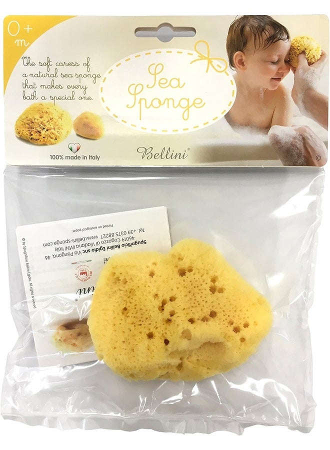 Bellini إسفنجة بحرية من الحرير الفاخر - 7 سم - مصنوعة من إسفنجة بحرية طبيعية - مضادة للحساسية، إسفنجة استحمام ناعمة للأطفال - قابلة للتحلل، صديقة للبيئة ولطيفة على حديثي الولادة والبشرة الحساسة - Image 1