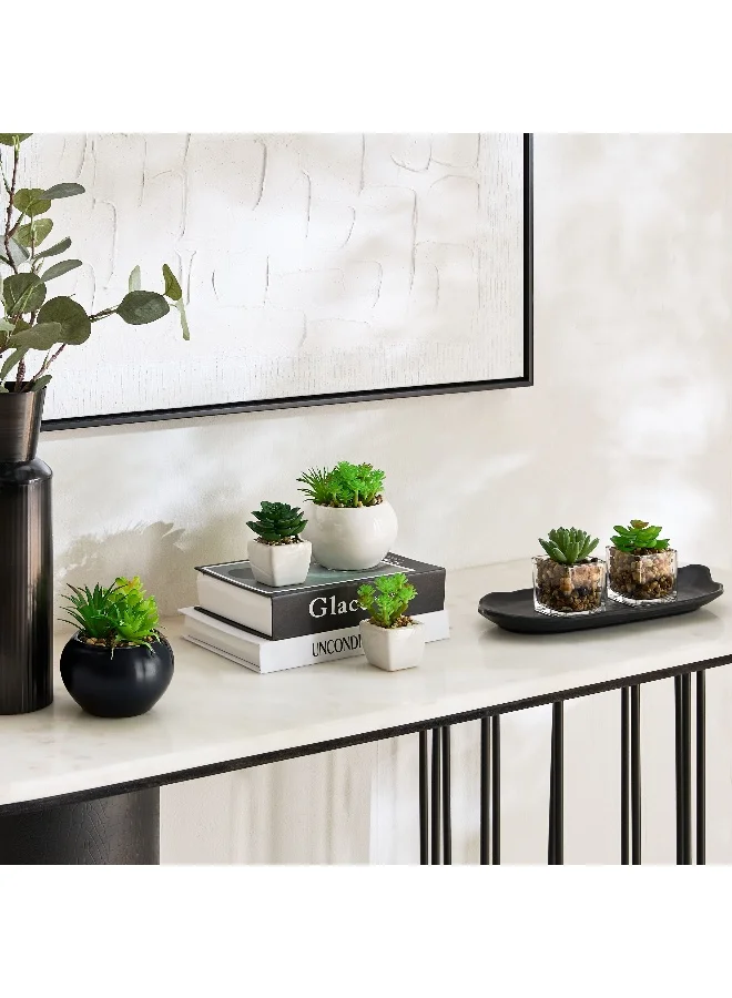 Home Box Tant Succulent Family with Round Ceramic Pot - 12 cm