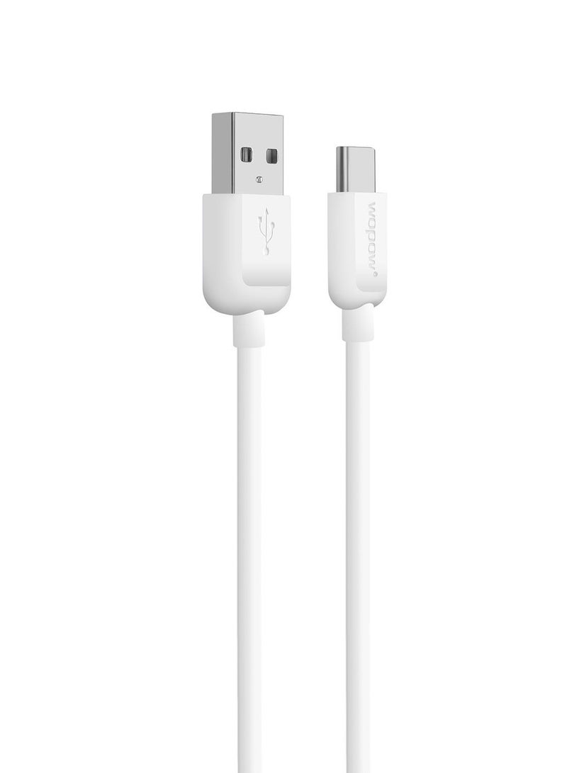 NIBEMINENT LT-40 Type A To C Cable White