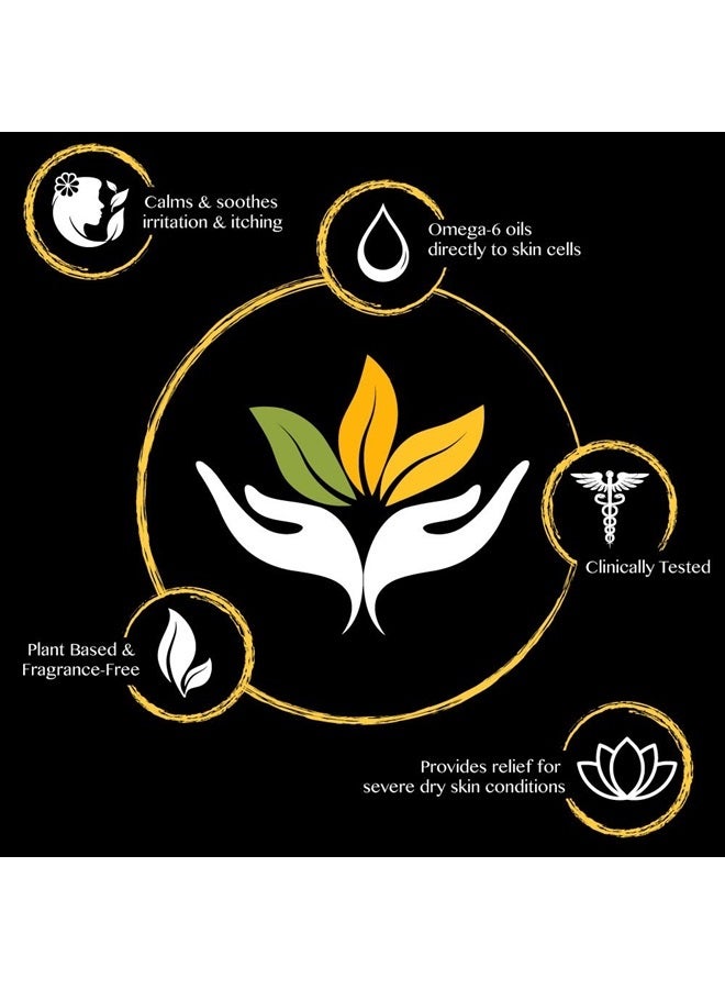 SHIKAI Daily Moisturizing Shower Gel (Cucumber Melon, 1 Gallon) | Gentle Formula | with Aloe Vera & Oatmeal for Soft, Healthy Skin | Dry Skin Relief - Image 4