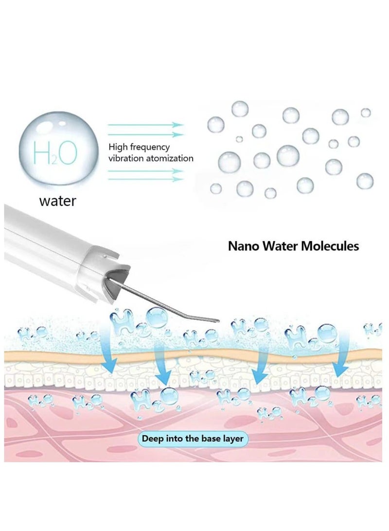 HUIHAO Blackhead Remover Deep Cleansing Machine with 2 Rechargeable Moisturizing Brushes - Image 3