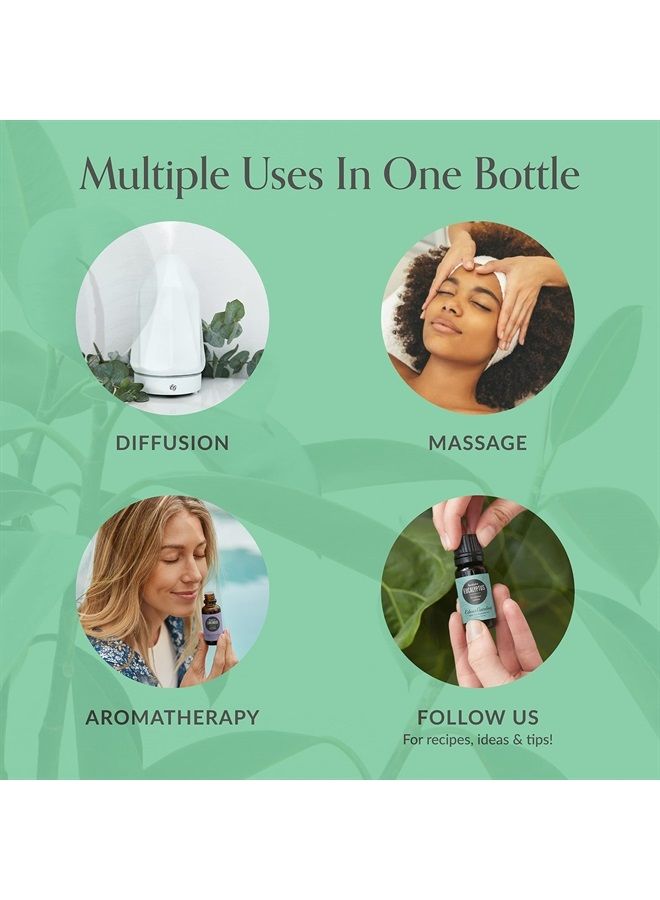 Edens Garden Focus, Focus, Focus "OK for Kids" Essential Oil Synergy Blend, 100% Pure Therapeutic Grade (Undiluted Natural/Homeopathic Aromatherapy Scented Essential Oil Blends) 30 ml - Image 4