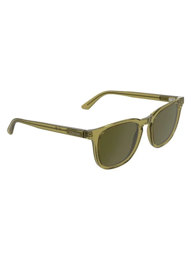CALVIN KLEIN  Wayfarers Sunglasses for Men | Best Price UAE