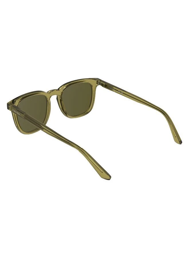CALVIN KLEIN  Wayfarers Sunglasses for Men | Best Price UAE