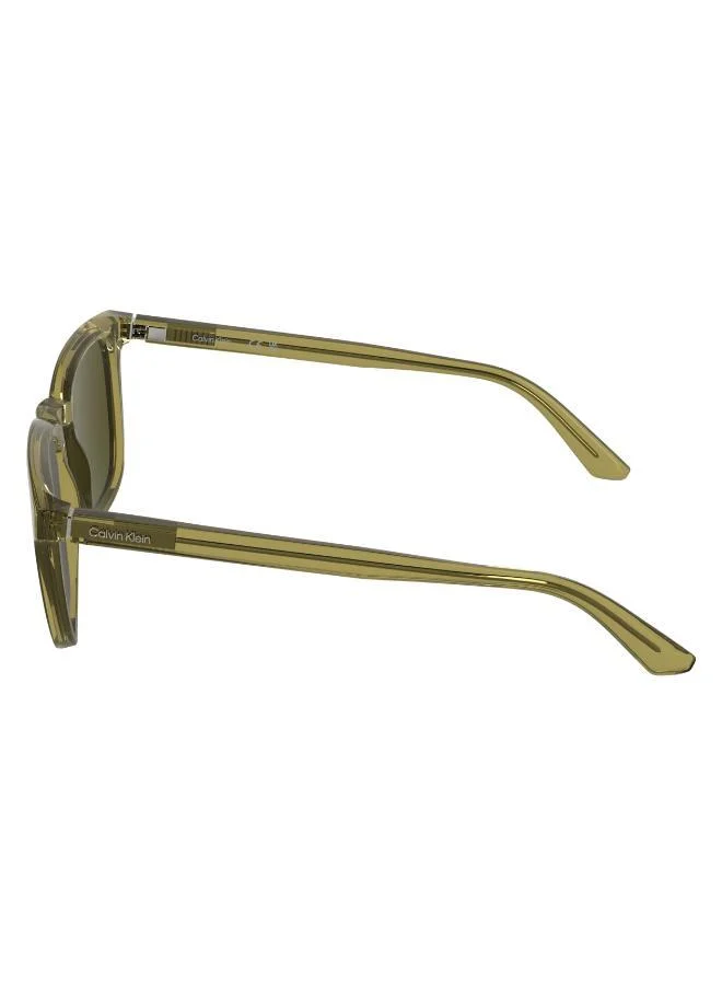 CALVIN KLEIN  Wayfarers Sunglasses for Men | Best Price UAE