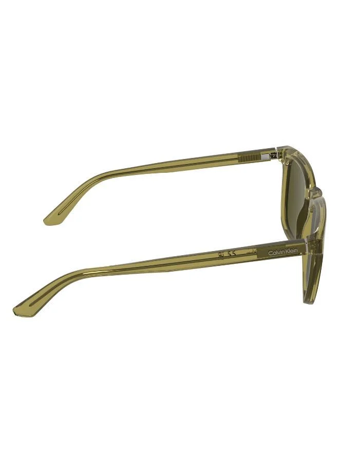 CALVIN KLEIN  Wayfarers Sunglasses for Men | Best Price UAE