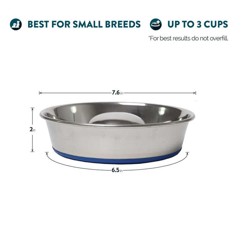 Our Pets OurPets DuraPet Slow Feed Premium Stainless Steel Dog Bowl, Silver, Small (2040010300) - Image 2