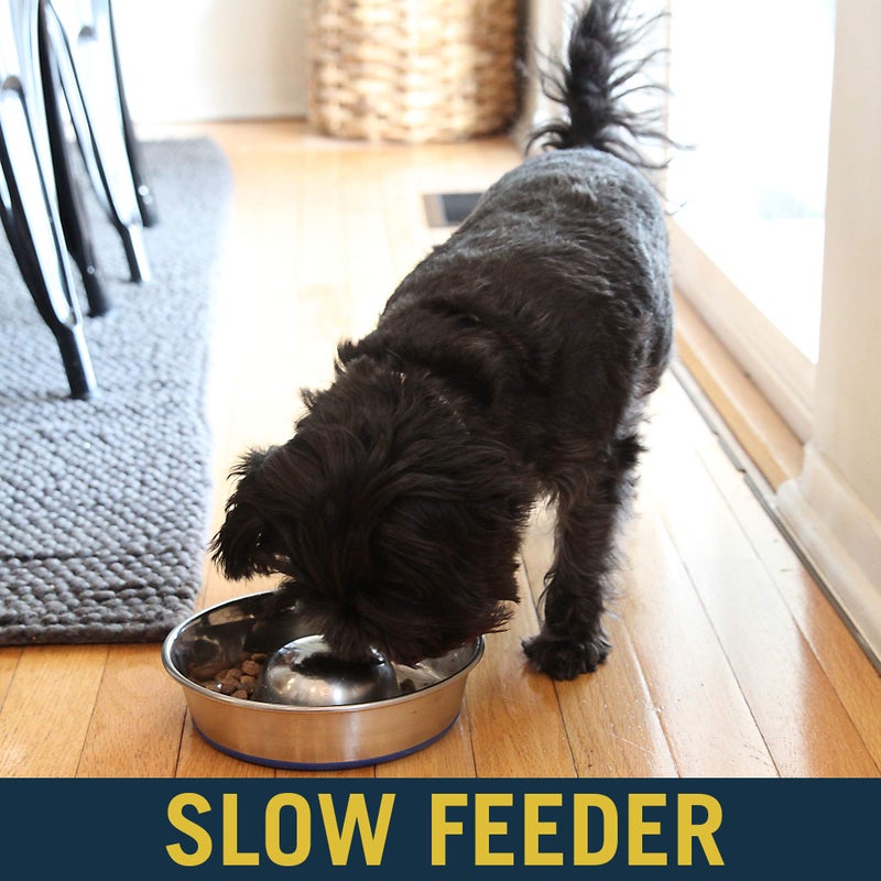 Our Pets OurPets DuraPet Slow Feed Premium Stainless Steel Dog Bowl, Silver, Small (2040010300) - Image 3