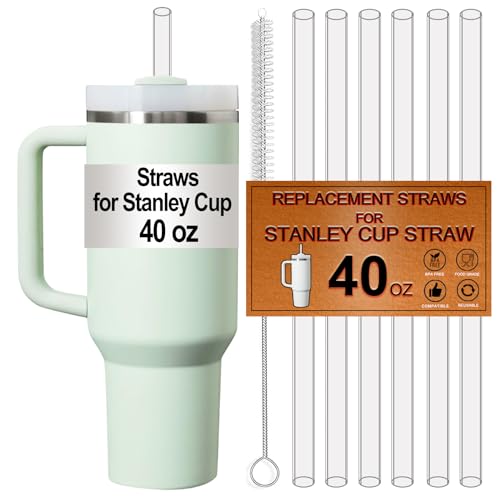 FXTBE 6-Pack Straws for Stanley Cup 40 OZ, Replacement Straw for Stanley 40OZ Tumbler Accessories, Reusable,Dishwasher Safe,Food Safe,BPA Free,Made of Tritan,Clear - Image 1