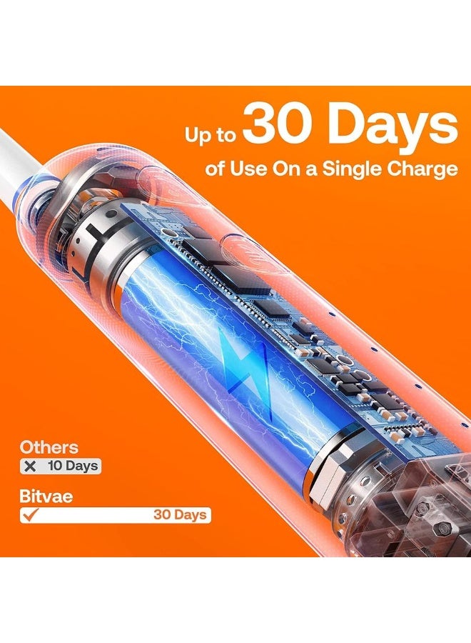 بيتفي فرشاة أسنان كهربائية قابلة لإعادة الشحن من Bitvae BV R2 للبالغين، 5 أوضاع تنظيف، شعيرات ناعمة، مقاومة للماء IPX7، فرشاة أسنان لتبييض الأسنان - Image 5