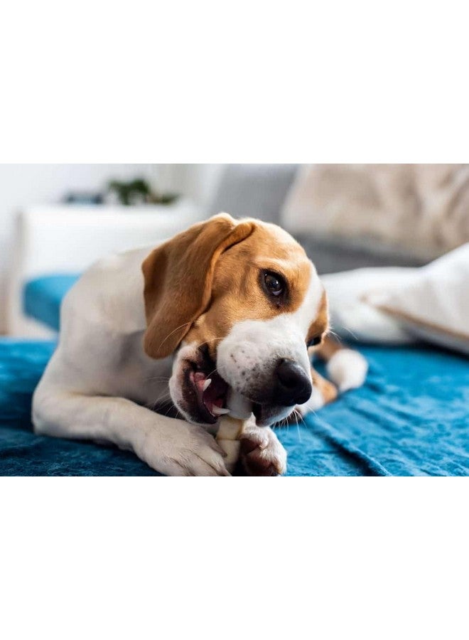 بت عظمة كلاب مضغوطة من الجلد الخام مقاس 4 بوصات - عبوة 1 كجم - Image 3