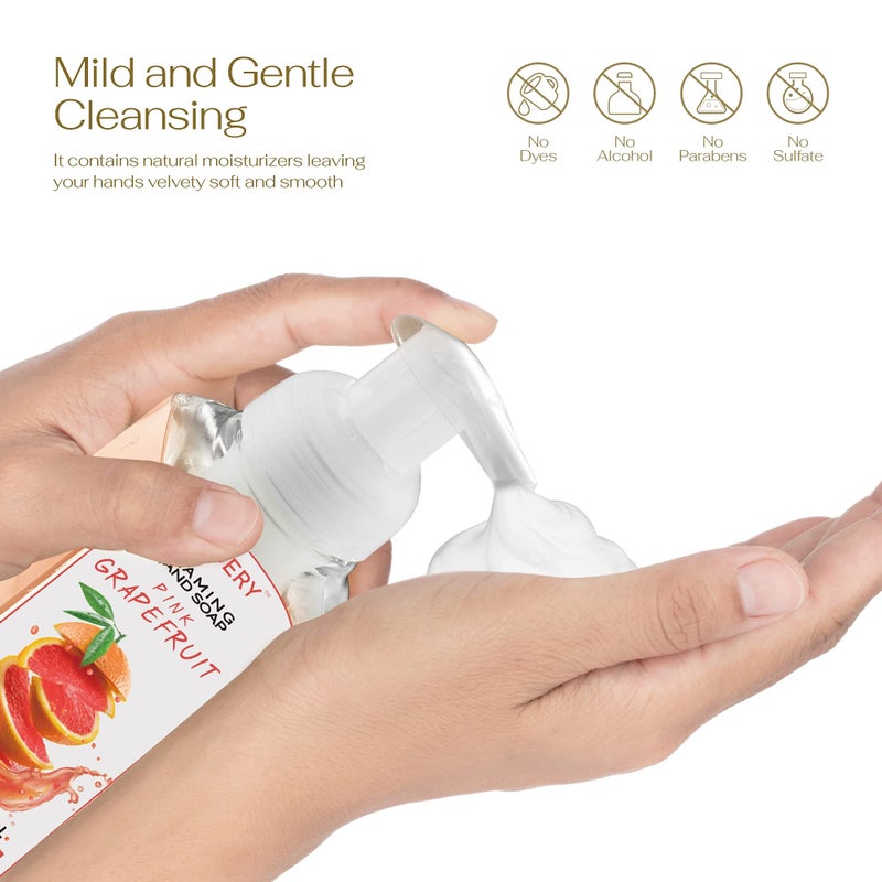 LOVERY Foaming Hand Soap Pump - 5-PK - Moisturizing Hand Soap Foam with Aloe Vera & Essential Oils - Alcohol-Free Hand Wash in Citrus Blend, Lemon, Orange, Lime, Grapefruit Fragrances for Kitchen & Bathroom - Image 3