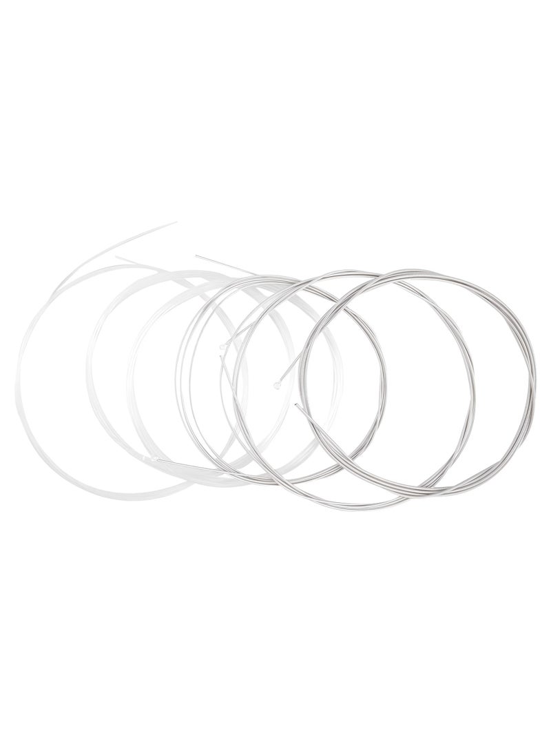 Alice - AC106 Classical Guitar String Full Set Clear Nylon Plain String & Silver Plated Copper Alloy Winding - 6 Strings - Image 1