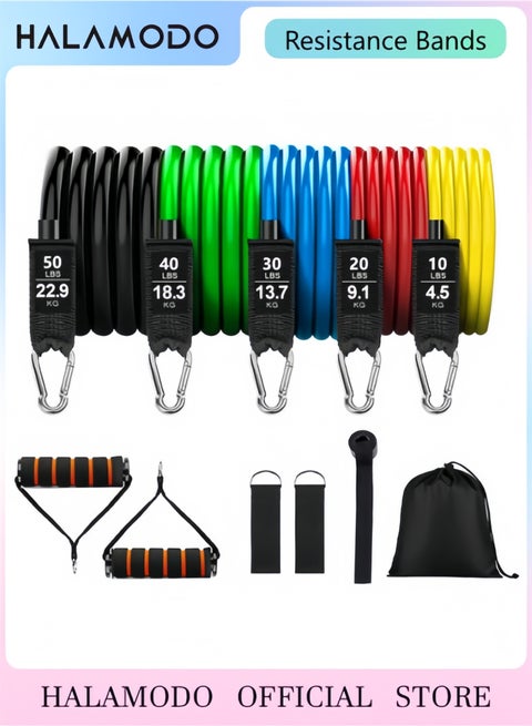 Resistance Bands, Exercise Workout Resistance Bands with Handles Door Anchor and Ankle Straps,for Fitness Weights,at Home/Gym Equipment