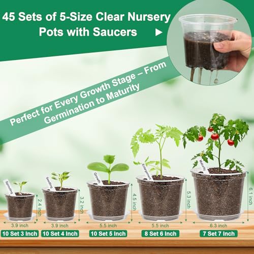 Jollidecor 45Pcs Clear Plastic Nursery Pots with Drainage Holes and Saucers, 3/4/5/6/7Inch Seedling Starter Flower Pots with Tool for Indoor Outdoor Gardening Flower, Herb, Succulent Transplanting - Image 3