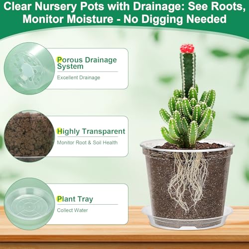 Jollidecor 45Pcs Clear Plastic Nursery Pots with Drainage Holes and Saucers, 3/4/5/6/7Inch Seedling Starter Flower Pots with Tool for Indoor Outdoor Gardening Flower, Herb, Succulent Transplanting - Image 2