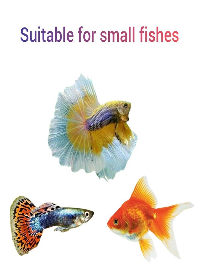 Mini Aquarium Fish tank | Suitable for all small fishes like Betta, Guppy, Gold and Shrimp | Color may vary - Image 2