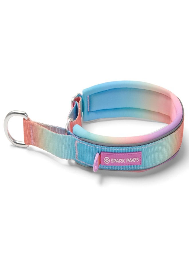 Spark Paws Martingale Dog Collar - Cushioned Slip-On Training Collar, Heavy Duty, Safety-Tested No-Buckle Collar for Medium & Large Dogs - Pastel Icing - C - Image 1