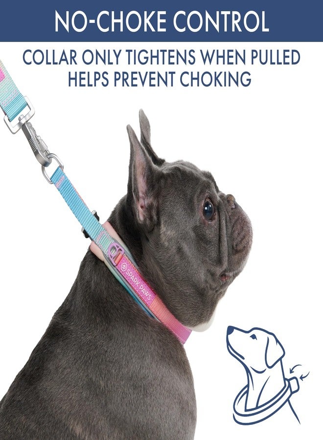 Spark Paws Martingale Dog Collar - Cushioned Slip-On Training Collar, Heavy Duty, Safety-Tested No-Buckle Collar for Medium & Large Dogs - Pastel Icing - C - Image 2