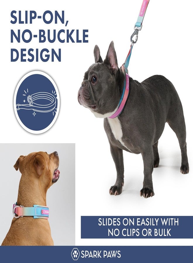 Spark Paws Martingale Dog Collar - Cushioned Slip-On Training Collar, Heavy Duty, Safety-Tested No-Buckle Collar for Medium & Large Dogs - Pastel Icing - C - Image 4