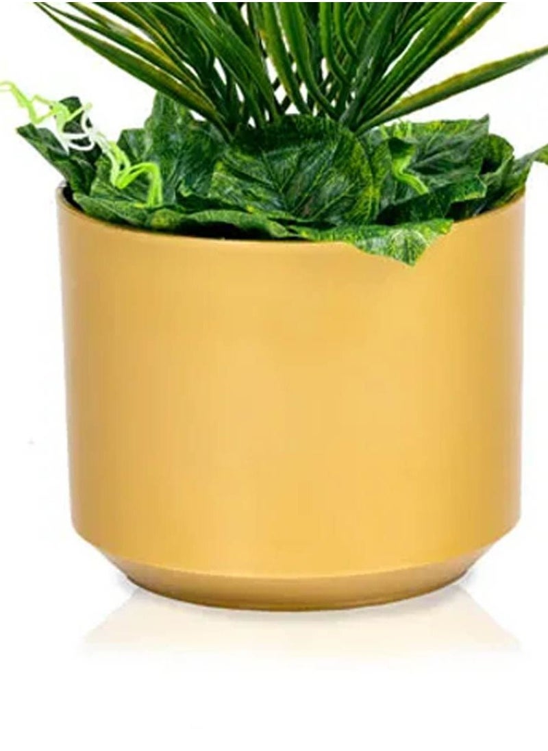 co arma Palm leaf seedlings, 45 cm high  - Image 2