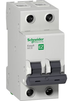 Schneider EZ9F43250 2X50 3ka C Automaton 