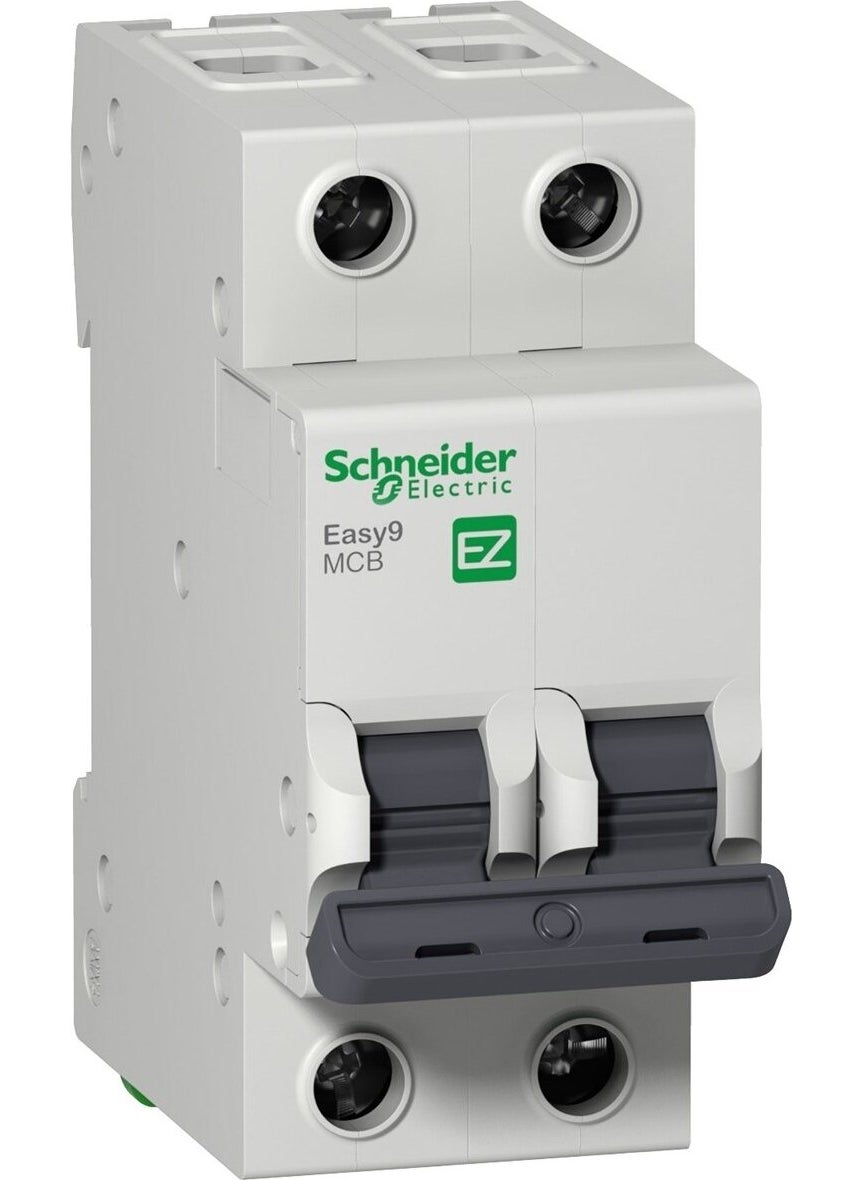 Schneider - EZ9F43250 2X50 3ka C Automaton - Image 1