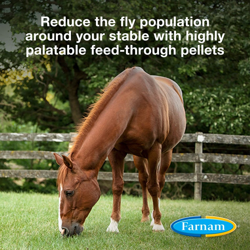 Farnam SimpliFly Feed Through Fly Control for Horses, 3.75 lbs, 60 Day Supply, EPA-Approved Pellets to Prevent Stable Flies in Manure â€“ Safe, Palatable Daily Supplement for Fly Population Control - Image 2
