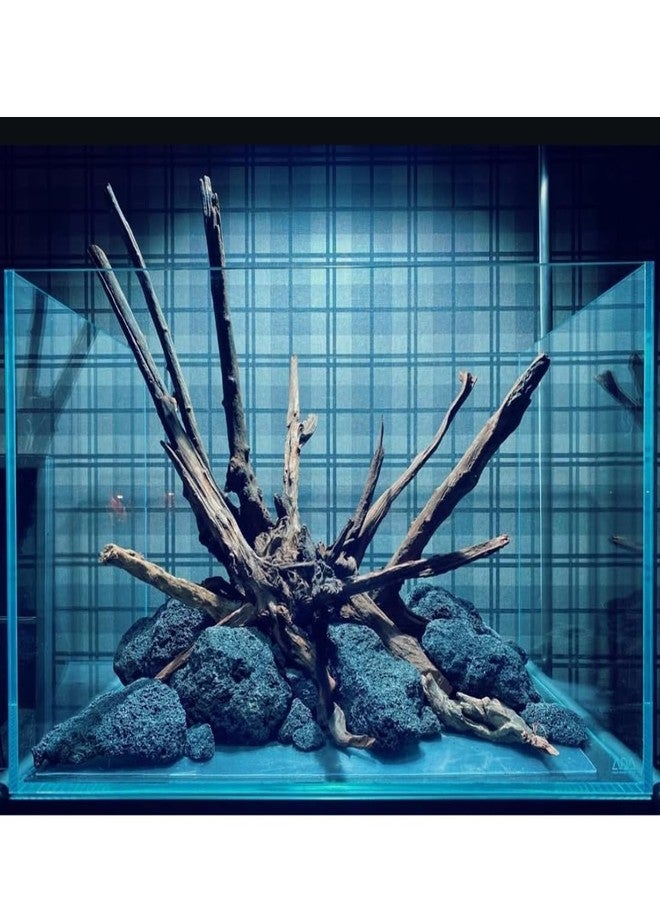 Scroll Store Lave Rock | Natural Lava Rocks for Aquarium Landscaping, Home Decoration, Bonsai, Terrariums & Gardens (10 Kg) - Image 2