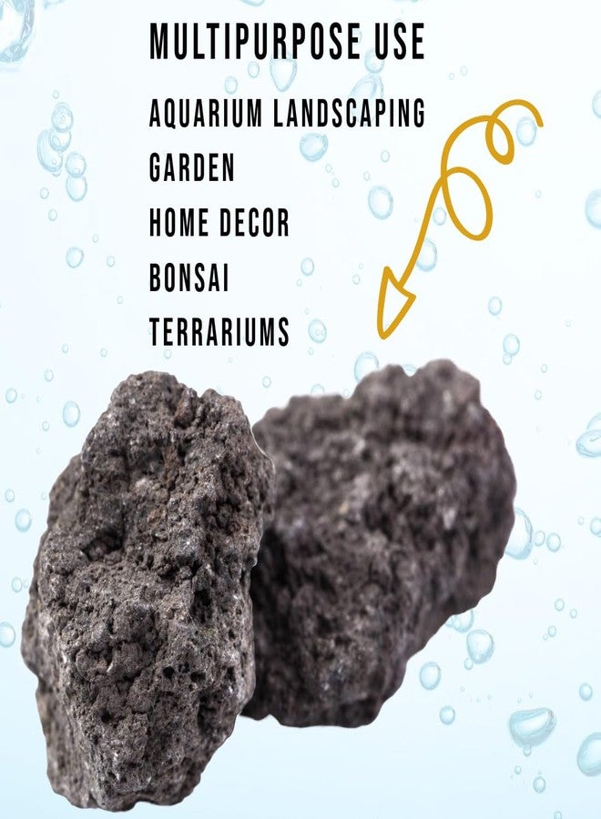 Scroll Store Lave Rock | Natural Lava Rocks for Aquarium Landscaping, Home Decoration, Bonsai, Terrariums & Gardens (10 Kg) - Image 3