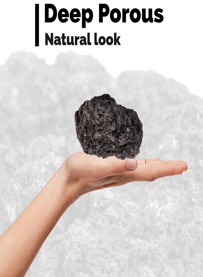 Scroll Store Lave Rock | Natural Lava Rocks for Aquarium Landscaping, Home Decoration, Bonsai, Terrariums & Gardens (10 Kg) - Image 4