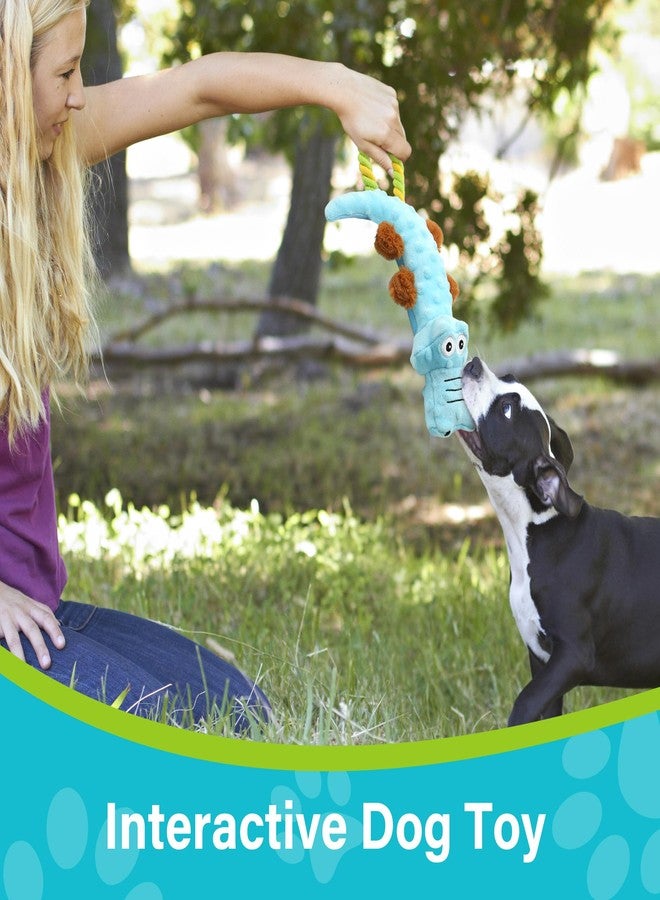 Prime Pets Dog Squeaky Toy, 2 Pack, Tug of War Plush Dog Toys for Small Medium Large Dogs, Stuffed Pet Toys, Interactive Puppy Chew Toy - Image 5