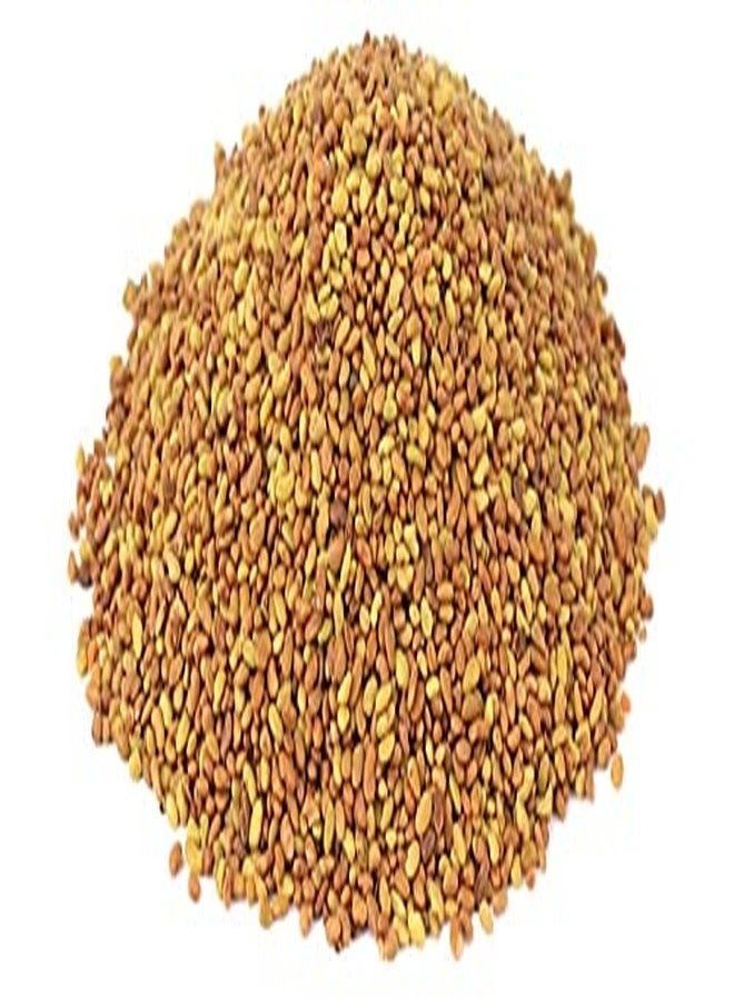 Value Life Essentials Healthy & Nutritious Alfalfa Seeds 250grams - Image 3