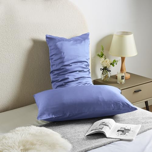 Casbrove Pillowcase for Hair and Skin Mulberry Silk Soft Breathable Smooth Both Sided Natural Pillowcase with Zipper Beauty Sleep 1 Pc for Gift (Standard, Cornflower Blue) - Image 2