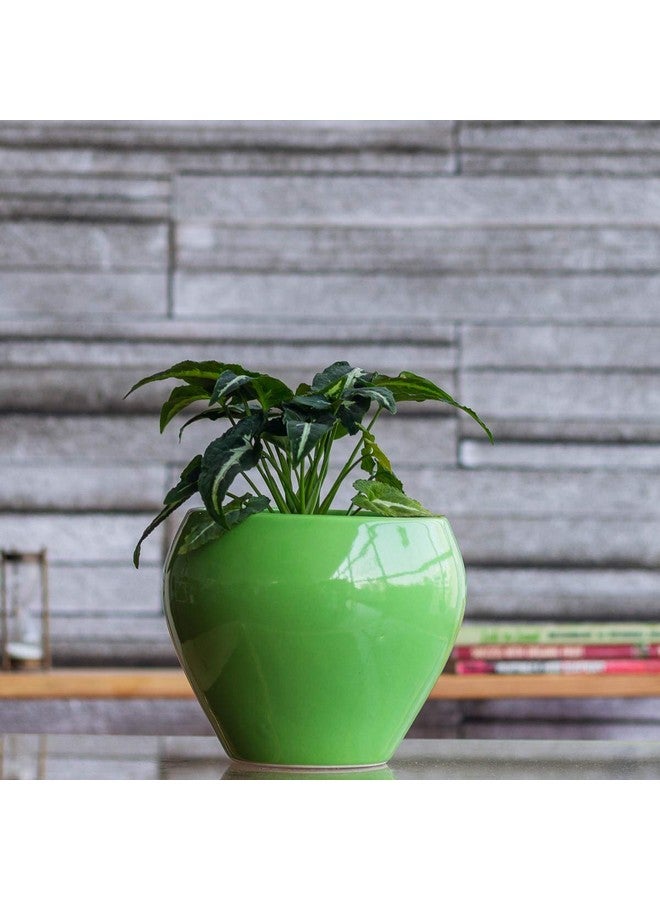 Ugaoo UGAOO Apple Ceramic Pot (Big, Light Green)  - Image 1