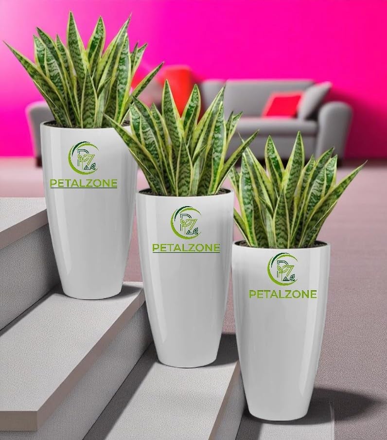 Petalzone Tower Pot | Lightweight Polymers Indoor-Outdoor Plant Pots | Planter Gamla for Home - Office & Garden | Planters for Living Room | White (2 Pcs, Height : 14 Inch) - Image 4