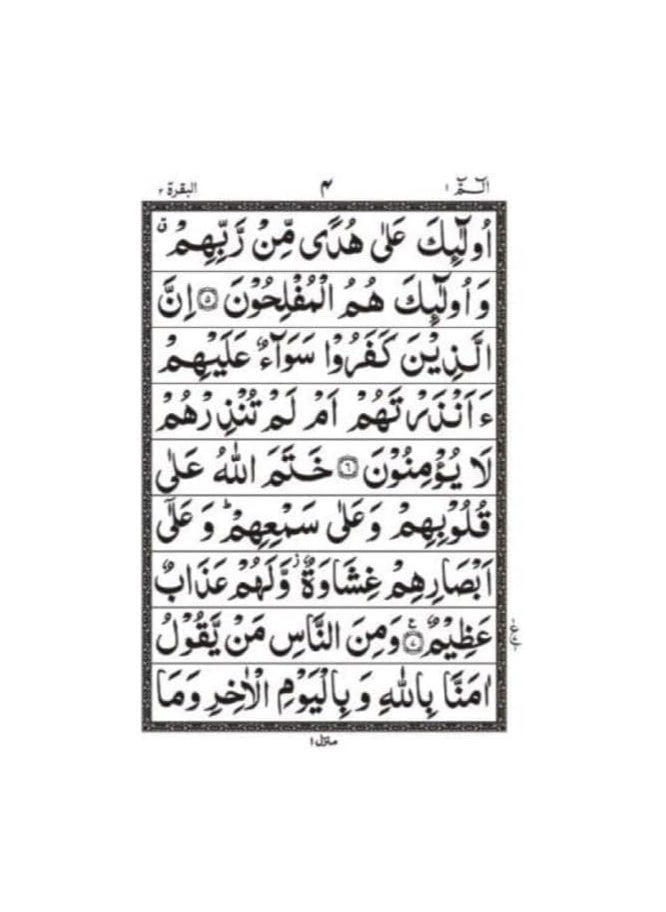 REBENUO - Tajweed 30 parts 100C Quran consisting of 30 paragraphs in Urdu script, large size plain paper 17 * 24 cm - Image 1