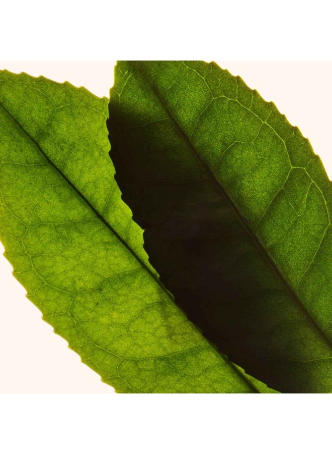 Clarins Instant Concealer in shade 00 (Porcelain/Light). - Image 5