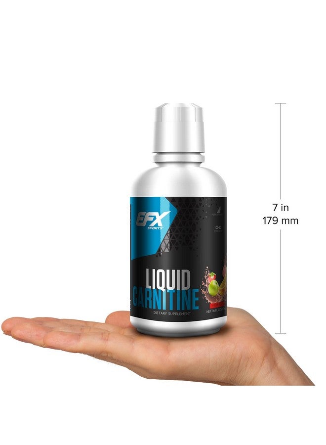 EFX Sports L-Carnitine Liquid 1500mg, Improve Performance and Strength, Vitamin B5 (31 Servings, Fruit Punch) - Image 3