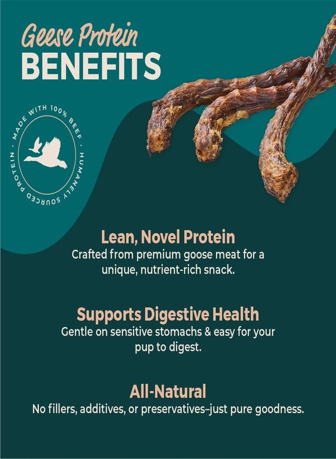 BULLY STICKS DIRECT Natural Goose (Geese) Necks for Dogs, Premium Protein-Rich Dog Chews, All Natural Dental Treats, Single Ingredient, 12 Pack - Image 4