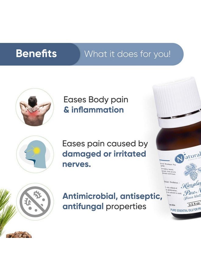 Naturalis Essence Of Nature Himalayan Pine Needle Essential Oil For Steaming, Aromatherapy And Relaxation And Diffuser - 15Ml  - Image 3