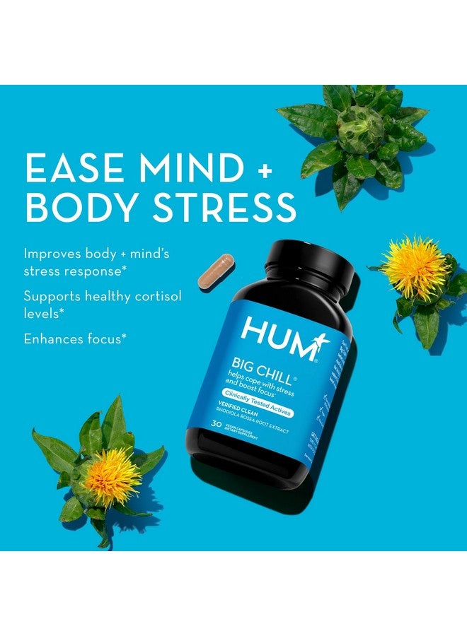 HUM Big Chill - Calming Supplement with Rhodiola Rosea for Stress & Mood Support - Balances Adrenal Health for Improved Stress Response (30-Count) - Image 2