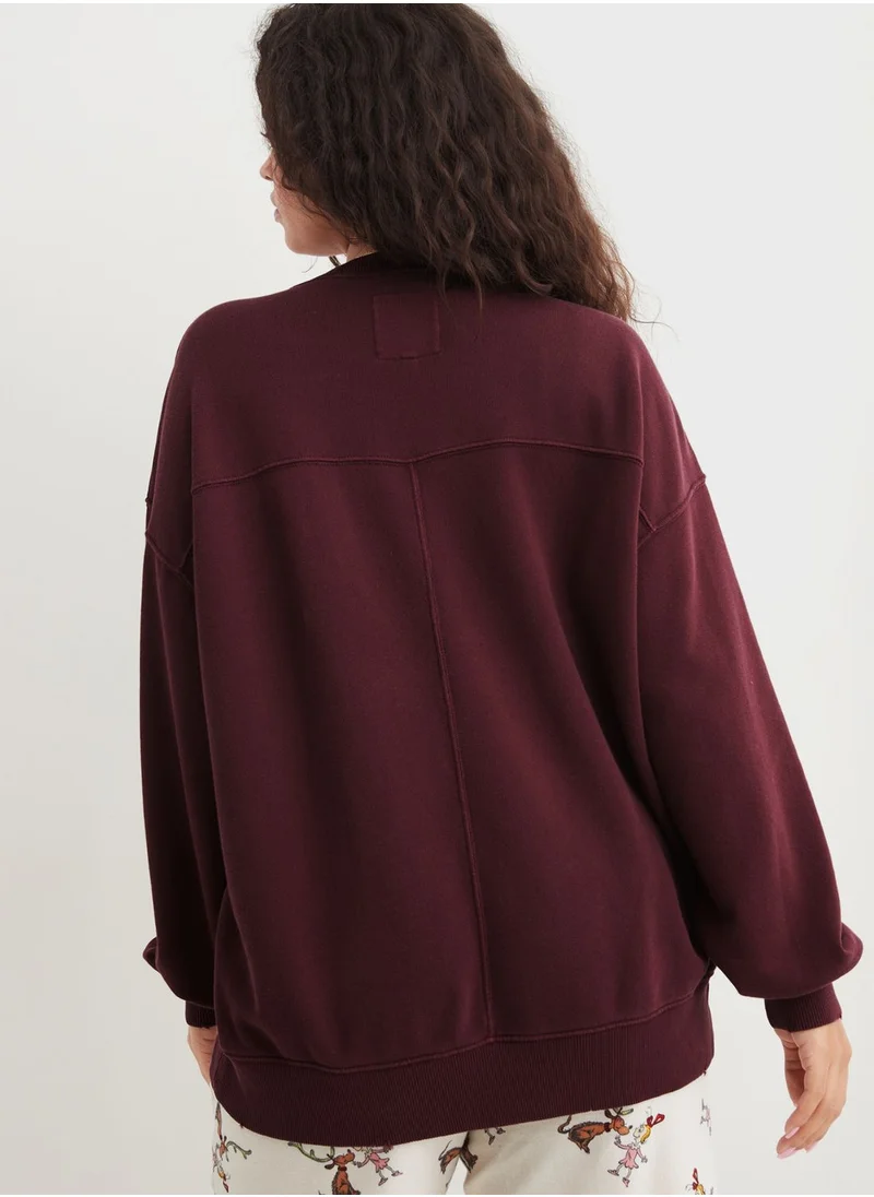 Aerie Crew Neck Sweatshirt