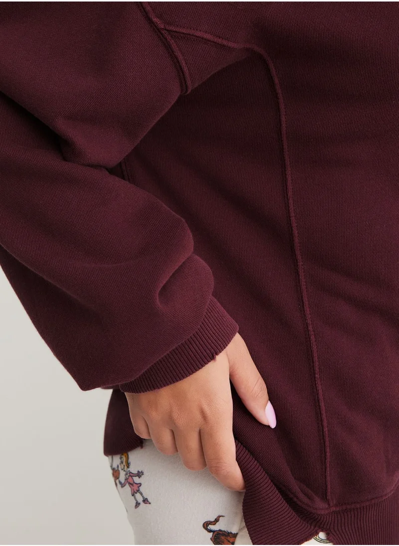 Aerie Crew Neck Sweatshirt