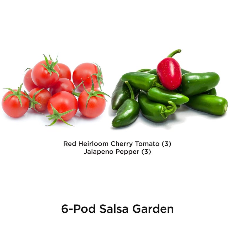 AeroGarden AeroGarden Salsa Garden Seed Pod Kit (6-pod)  - Image 2