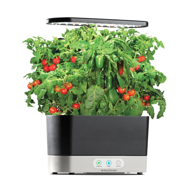 AeroGarden AeroGarden Salsa Garden Seed Pod Kit (6-pod)  - Image 4