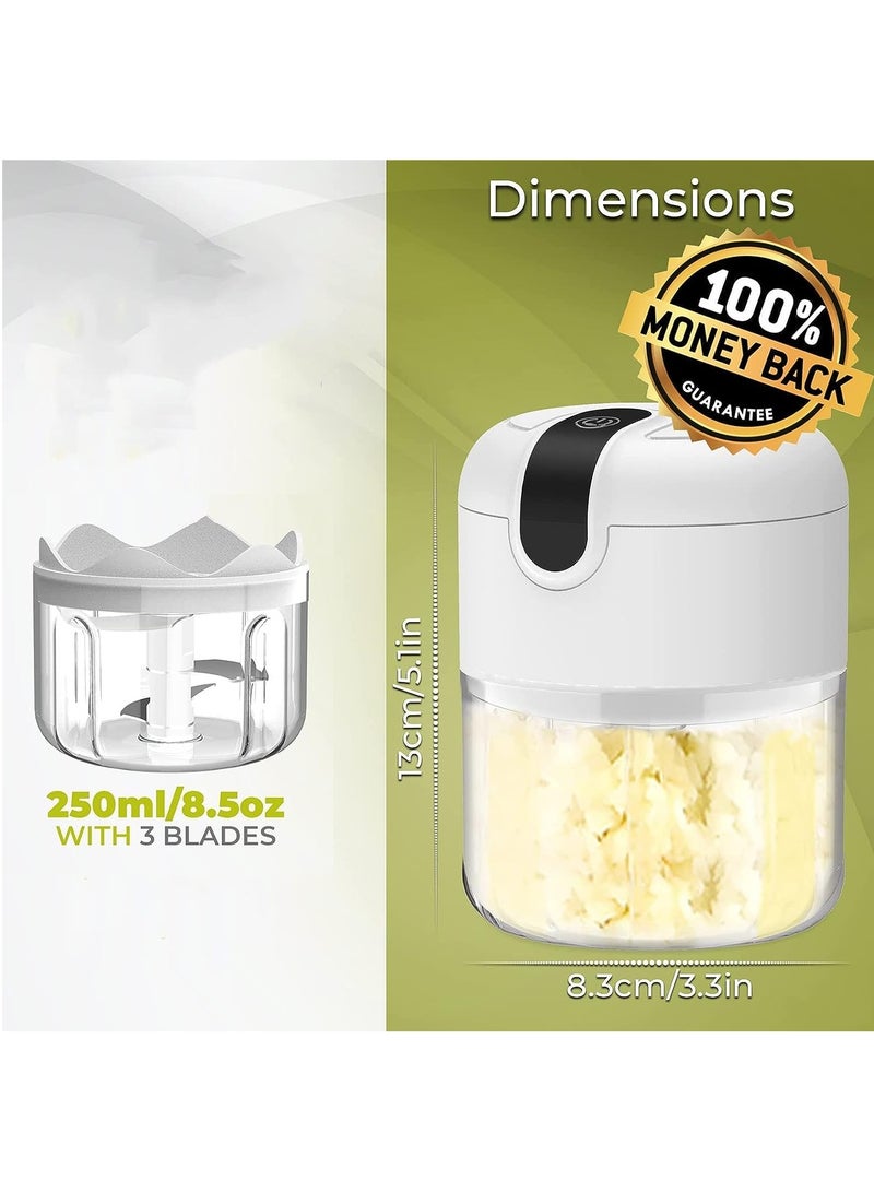 Arabest Electric Garlic Chopper,Cordless Mini Chopper with USB Rechargeable,304 Stainless Steel Blade,250ml Portable Electric Mini Food Chopper for Garlic,Ginger,Onion,Meat  - Image 2